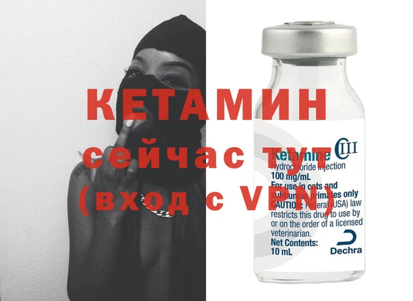шишки Белая Холуница