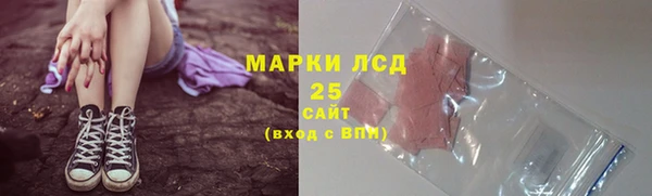 прущий лед Абаза
