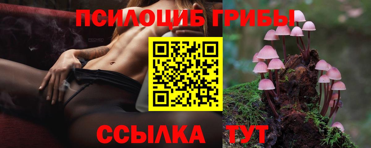 Шали  Галлюциногенные грибы ЛСД  Вход с VPN  Псилоцибиновые грибы Cubensis 